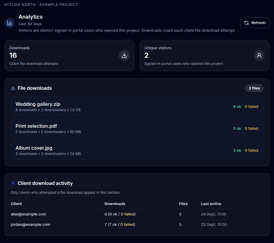 Example project analytics with 16 download attempts, two visitors, three files and activity for each client